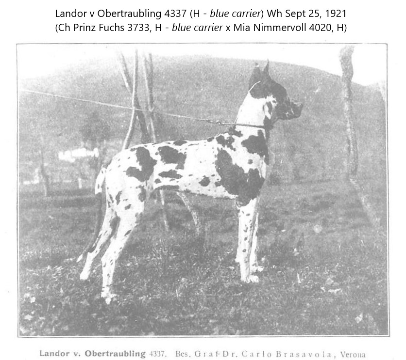 Landor v Obertraubling